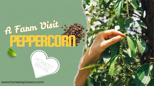 A Farm Visit - Peppercorn